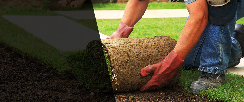 Fort Eustis Landscapers